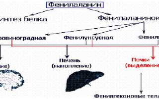 Фенилаланин в газировке — влияние на организм