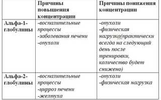 Что значит повышенный бета 1 глобулин в крови