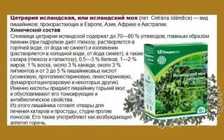 Химический состав исландского мха — изучение и применение