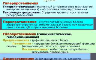 Гиперпротеинемия — Какие Симптомы Нужно Знать