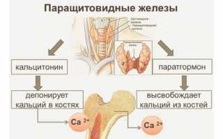 Совместимость Паратгормона и Кальцитонина