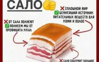 Витамин Д в сале — миф или реальность?