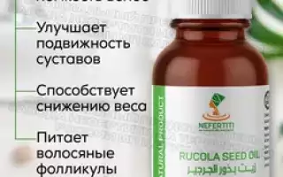 Рукола — секреты здоровья и энергии для мужчин