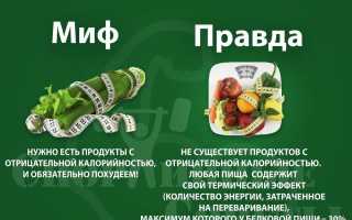 Отзывы о быстрых диетах — правда или миф?