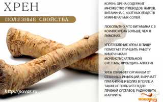 Всё о составе хрена — польза и применение