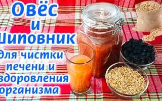 Лечение печени — рецепты приготовления овса