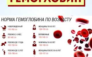 Морковь и ее влияние на уровень гемоглобина