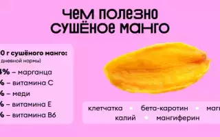 Сушеное манго на диете — полезно или нет?