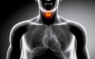 Нормы показателей при УЗИ щитовидной железы