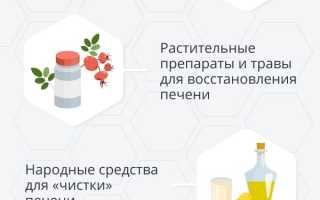 Восстановление печени у мужчин — Народные средства в домашних условиях