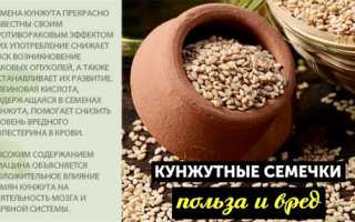 Микроэлементы в составе кунжута — польза для здоровья