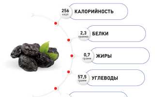 Польза сушеного чернослива для здоровья