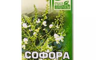Японская софора — применение, отзывы и полезные советы