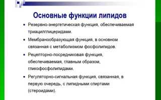 Биологические функции липидов