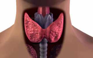 Чем опасна гипоплазия щитовидной железы у детей и взрослых?
