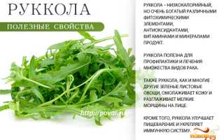 Польза рукколы для здоровья — секреты зеленого суперфуза