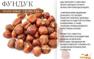 Состав и польза орехов фундука