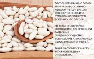 Полезные свойства белой фасоли