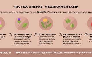 Почему чистка лимфы важна для здоровья