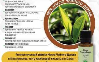 Польза масла чайного дерева для здоровья
