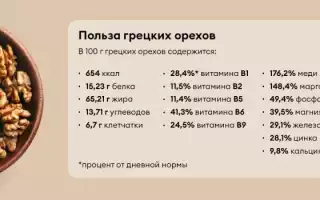 Польза грецкого ореха для женского здоровья