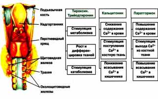 В чем особенность манифестного гипотиреоза?