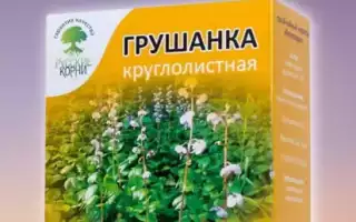 Грушанка — защита от недугов