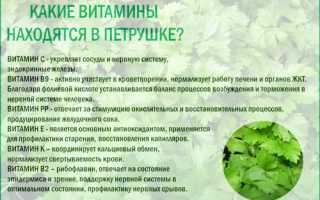 Химический состав свежей петрушки
