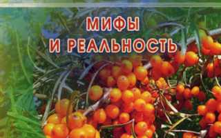 Йод в облепихе — миф или реальность?