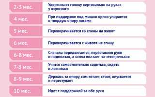 Развитие мальчика — год и месяц