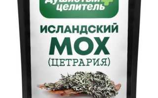 Исландский мох чай — польза и отзывы