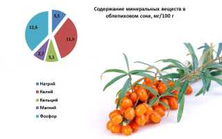 Химический состав и пищевая ценность облепихи