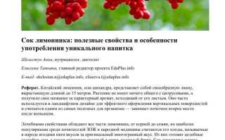 Лимонник — Полезные Свойства и Использование Растения