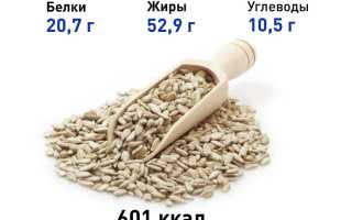 Польза семян подсолнечника для здоровья