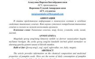 Химический состав тыквенных семечек — что нужно знать