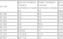 До скольких лет растет член у мужчин и подростков