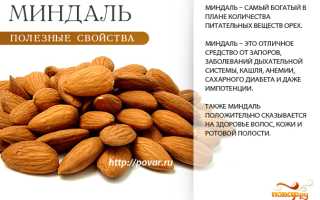 Польза ядер миндаля для здоровья