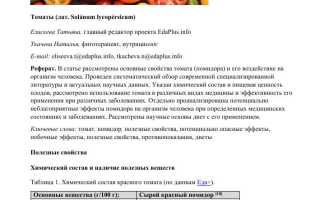 Химический состав помидоров — полезные свойства и витамины