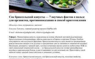 Брюссельская капуста при гастрите — польза и осторожность