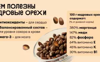 Полезные свойства кедрового ореха