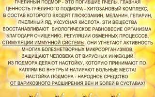 Полезные свойства пчелиного подмора для здоровья