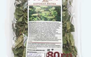 Боровая матка при эндометриозе — польза и правила приема