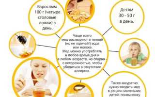 Мед в диете — полезен или вреден?