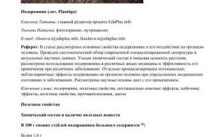 Подорожник — Удивительные Свойства и Применение