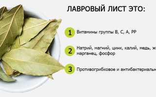 Лавровый лист — секреты полезности и применения