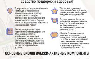 Польза семян льна для здоровья и красоты