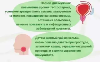 Польза семян пажитника для женского здоровья