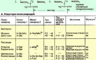 Полисахариды — Где и в Каких Продуктах Они Содержатся