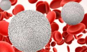 Понижение количества лейкоцитов в крови