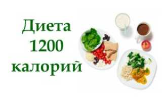 Отзывы о диете на 1200 калорий в день